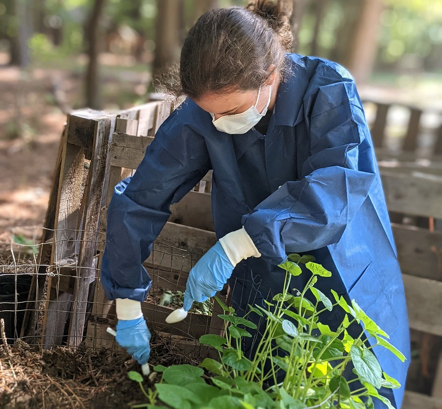 NC State Food Animal Initiative Fellow