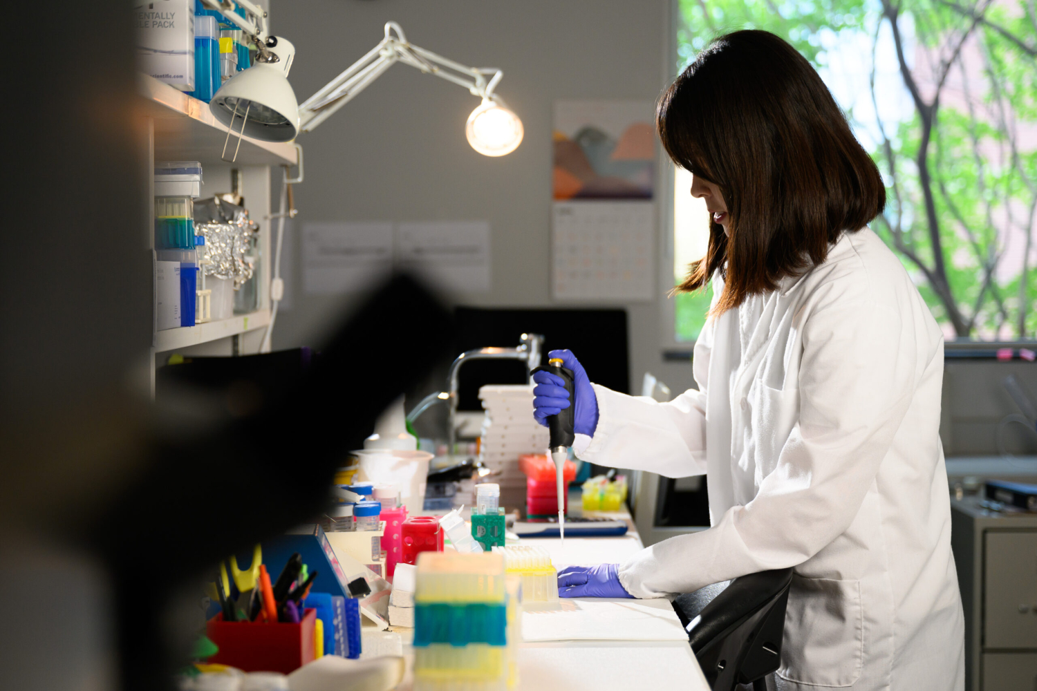 PhD student Aoi Nakanishi-Hester working in the lab